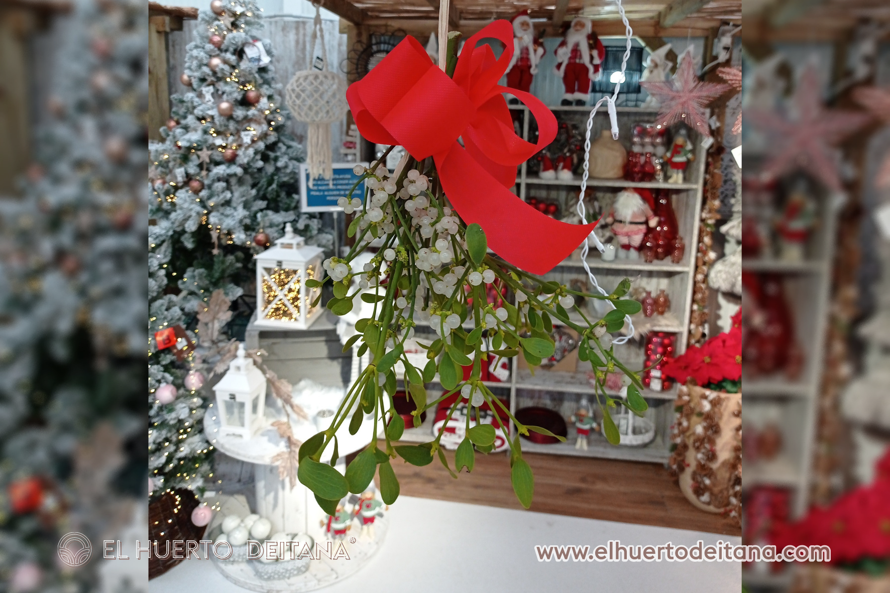 Muérdago Decoración